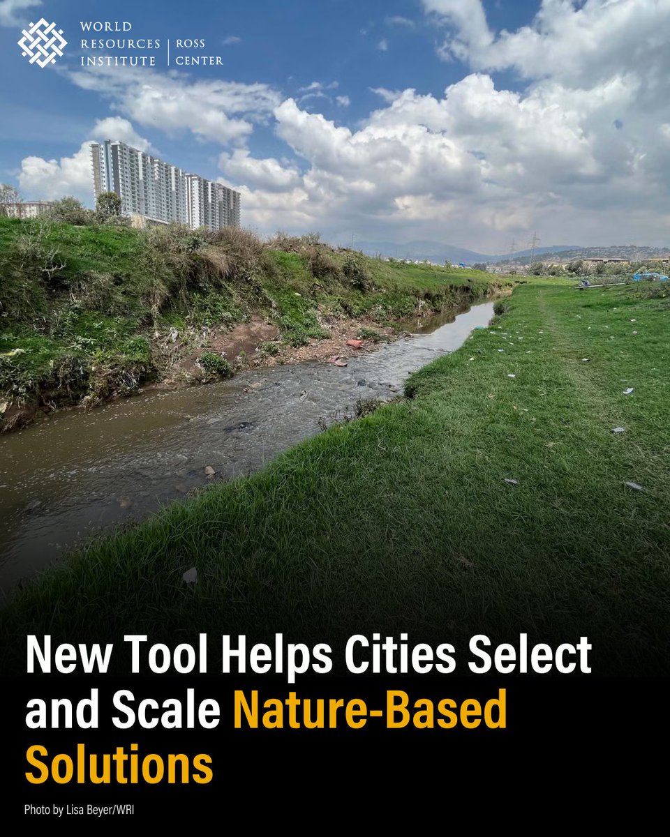 WRI Ross Center for Sustainable Cities (@wrirosscities) on Twitter photo Co-developed by <a href="/Cities4Forests/">Cities4Forests</a>, the Strategic #NatureBasedSolutions Framework offers a repeatable planning method for rapid spatial risk analysis, helping #cities prioritize & invest in NBS. Learn how our experts applied the new tool to Addis & Kigali 👉 bit.ly/4fn69lc Co-developed by <a href="/Cities4Forests/">Cities4Forests</a>, the Strategic #NatureBasedSolutions Framework offers a repeatable planning method for rapid spatial risk analysis, helping #cities prioritize & invest in NBS. Learn how our experts applied the new tool to Addis & Kigali 👉 bit.ly/4fn69lc