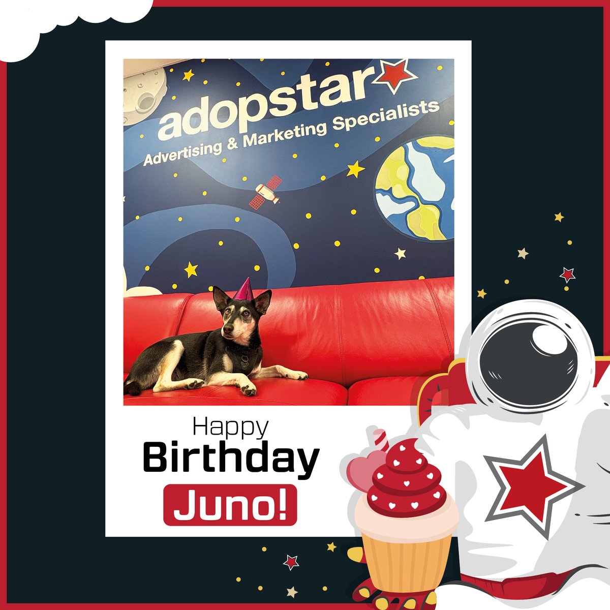 Happy 4th Birthday to our star pup, Juno!🎉🚀

She’s not just the queen of the red couch, she’s the heart of the Adopstar office and our paws-itively vital morale booster. 🐾💫

Join us in giving a virtual belly rub to the goodest girl in Adopstar!

#Adopstar #Birthdays