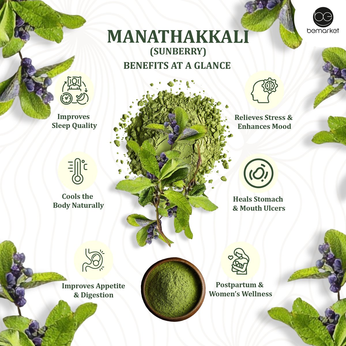 bemarket_store's tweet photo. 🌿 Manathakkali (Sunberry) Soup Mix
Soothe ulcers, boost digestion, and calm your system  all in one sip. 
Traditional care. Instant comfort.
#ManathakkaliBenefits #sipsmart #consciouseating #BeTheChange https://t.co/pyfGmnoKIy