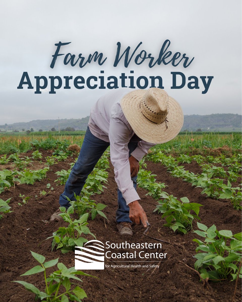 Farmworkers play a vital role in our communities and deserve recognition, respect, and protection. Thank you for your hard work, resilience, and dedication. 💪

Find more ways to keep our farmworkers safe at loom.ly/as6wbhE.