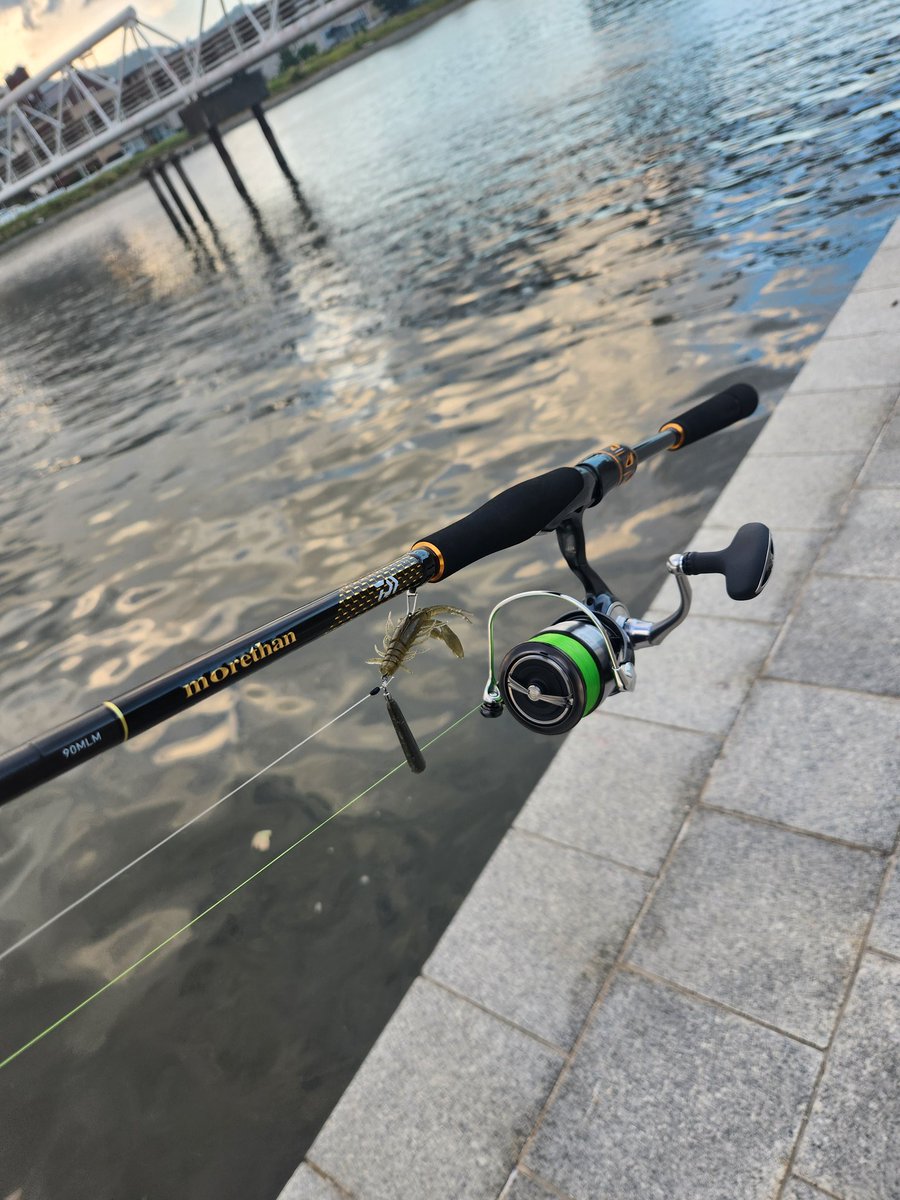 DAIWA SW Fishing Shore (@d_sw_shore) / X