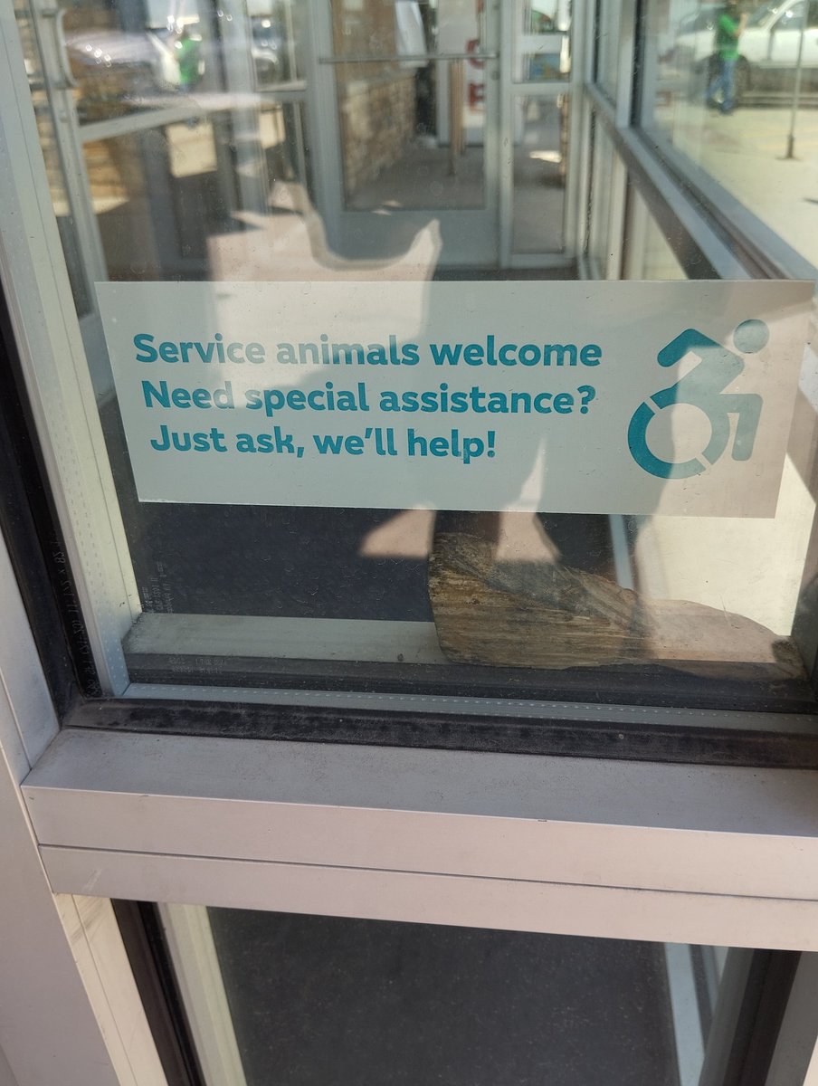 𝗧𝗛𝗘 𝗡𝗘𝗪 𝗔𝗠𝗘𝗥𝗜𝗖𝗔𝗡 𝗗𝗥𝗘𝗔𝗠?

On est en vacances en famille aux 🇺🇲 depuis quelques jours et on a déjà pu constater à quel point les Américains accordent de l'importance à l'accessibilité. 

♿ 🏊‍♂️ Les deux hôtels où nous avons séjourné dans la banlieue de Denver puis