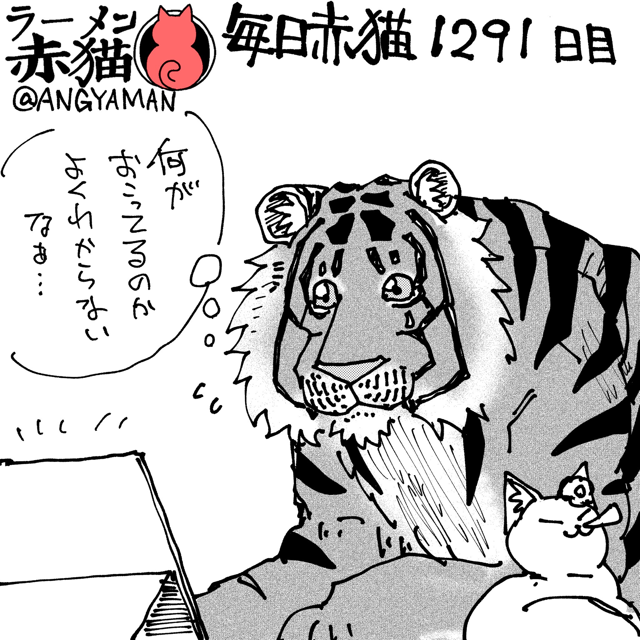 赤猫 杏 アンギャマン (@ANGYAMAN) / X