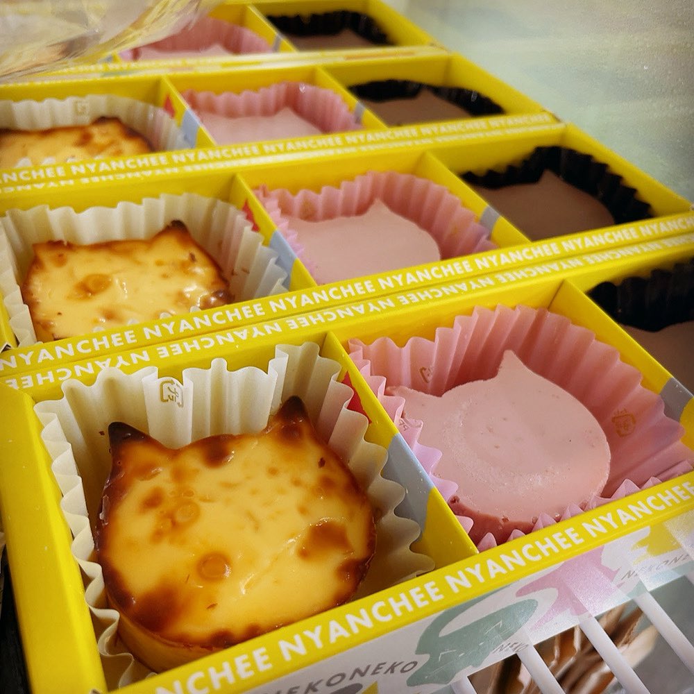 チコニャン 金原千恵子 on X: 