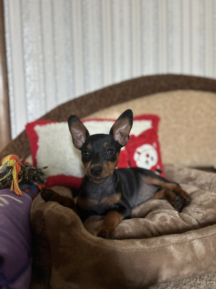 А Барбі нікому гарного ранку не бажає бо любить тільки себе + поїсти🎀