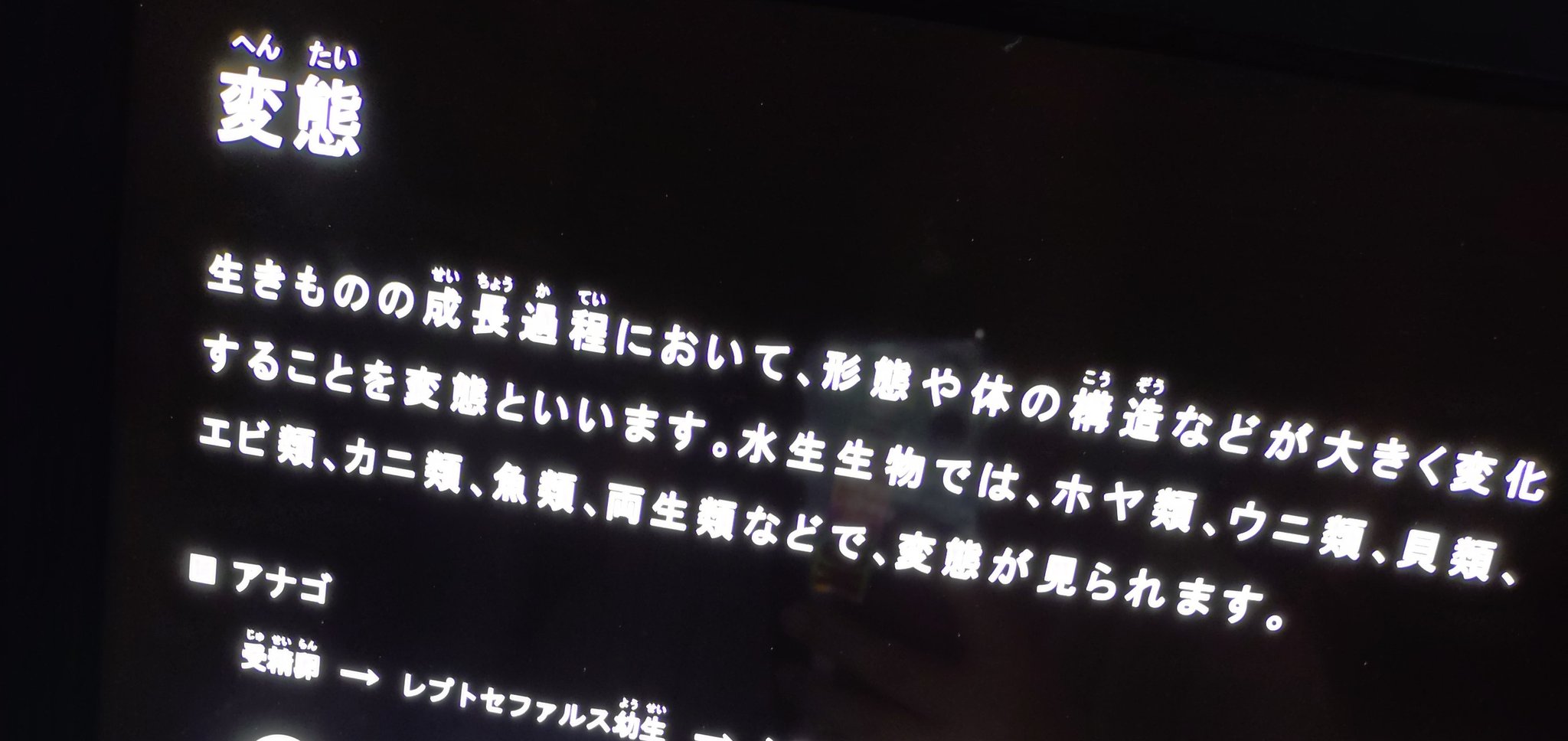 この中で気になる商品あればコメントください！ あこあこは/kkmjpkj on X: 