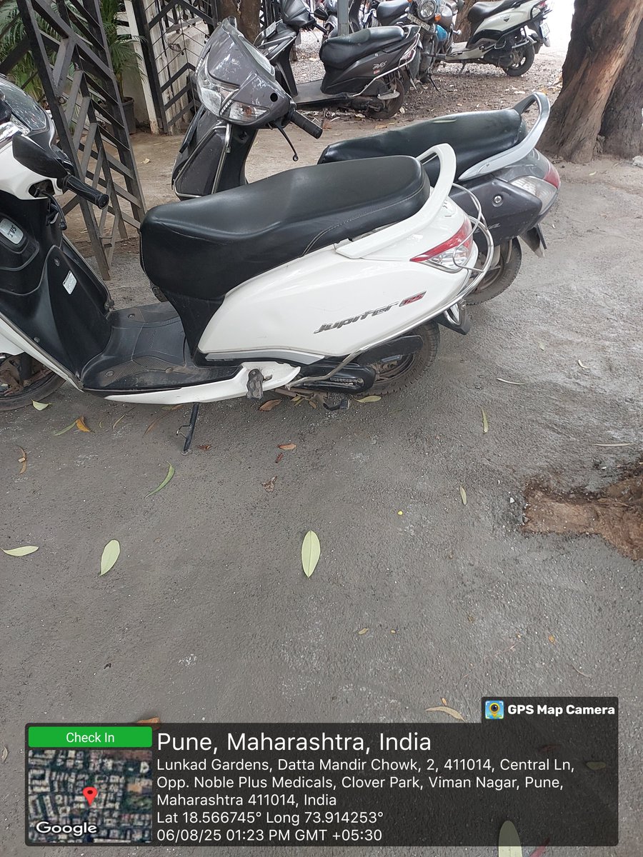 <a href="/PMCPune/">PMC Care</a> <a href="/navalMH/">Naval Kishore Ram</a> can you please remove the concrete around the tree.