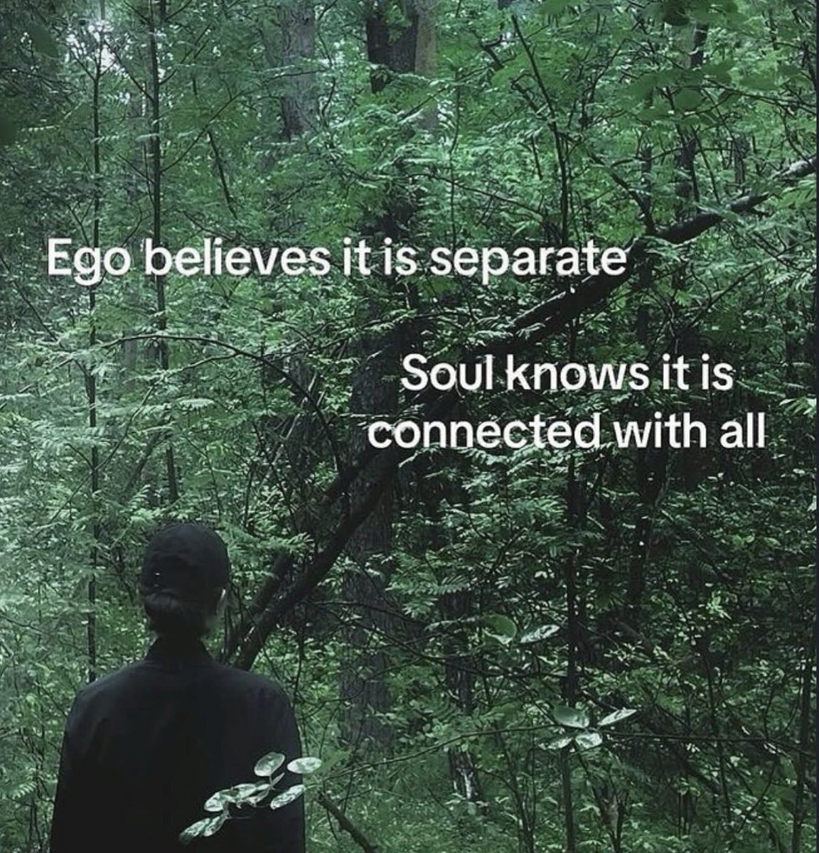 Holy_Caligula's tweet image. 