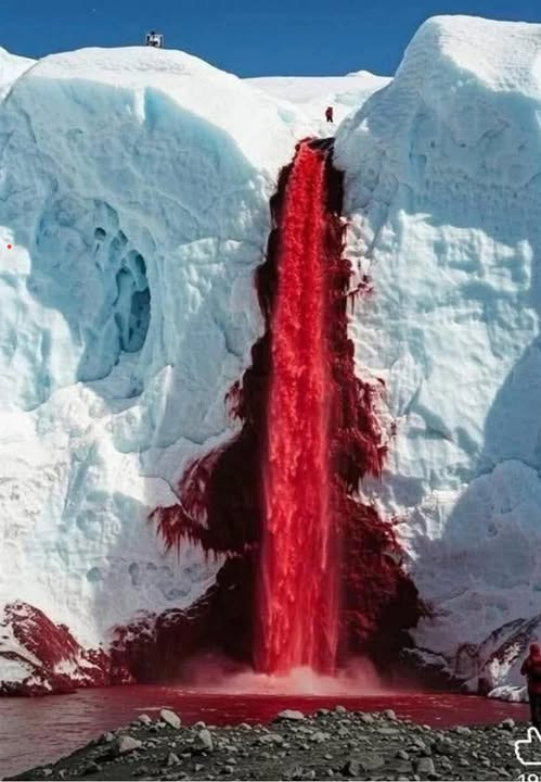 Nel cuore dell'Antartide, sul ghiacciaio Taylor nelle Valli Secche, si svolge uno dei giochi naturali più inquietanti e affascinanti al mondo. Davanti a un ghiacciaio bianco latte, si trapunta una cascata di liquido rosso scuro che sembra sangue appena versato. Blood Falls è così