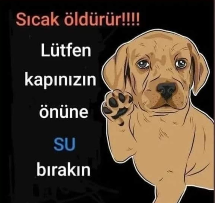Susuzluk ve sıcak öldürür!
Lütfen...
İş yeri, ev, kamu binaları vb. Kötülere inat, İnsanlık edip merhamet gösterin ve kapıların ÖNÜNE SU KOYUN...
