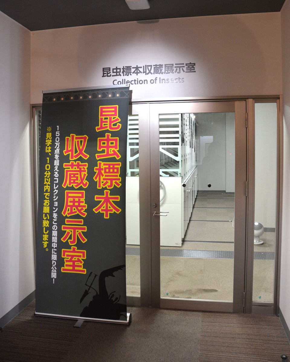 【INFORMATION】
昆虫展2025～推し虫総選挙～
8月7日（水）から8月11日（日）まで愛媛大学ミュ―ジアムにて開催🦗🦗
今年のテーマは、“推し虫総選挙” 😊😊皆さんの“推し”を教えてください🎉🎉
お待ちしております🦋🐜
ehime-u.ac.jp/data_event/ev_…