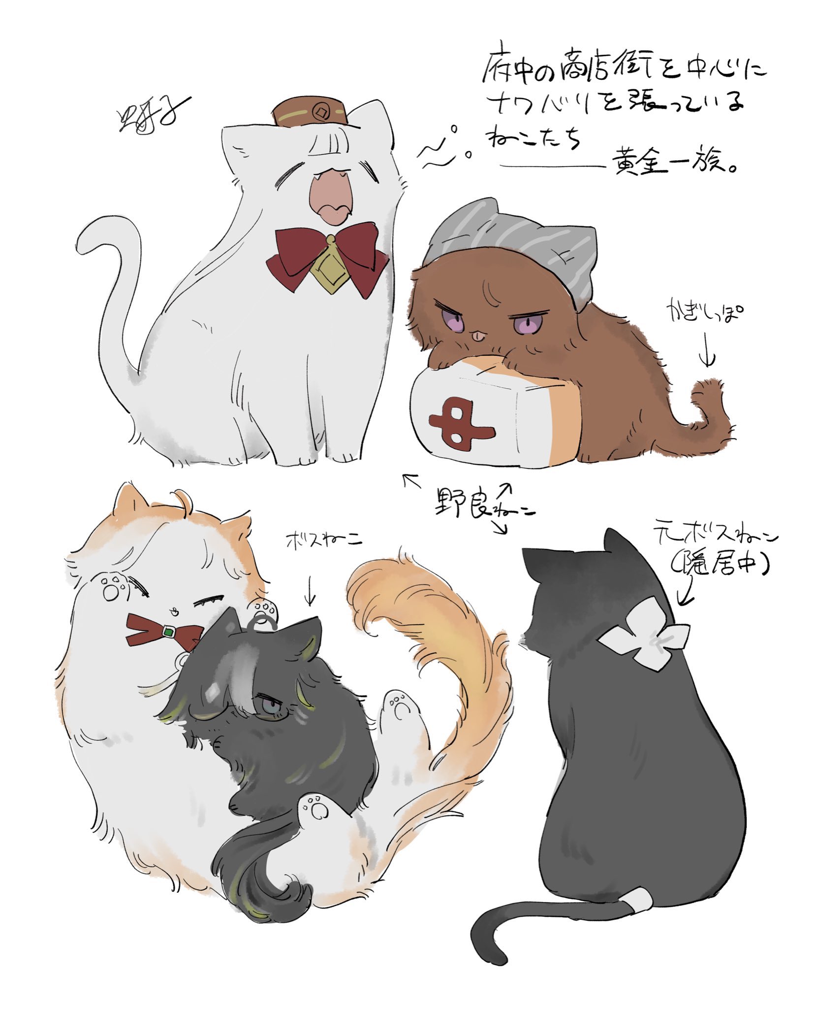 ねこ NEKO＊赤×黒ツートンノア(シナンジュ号) on X: 