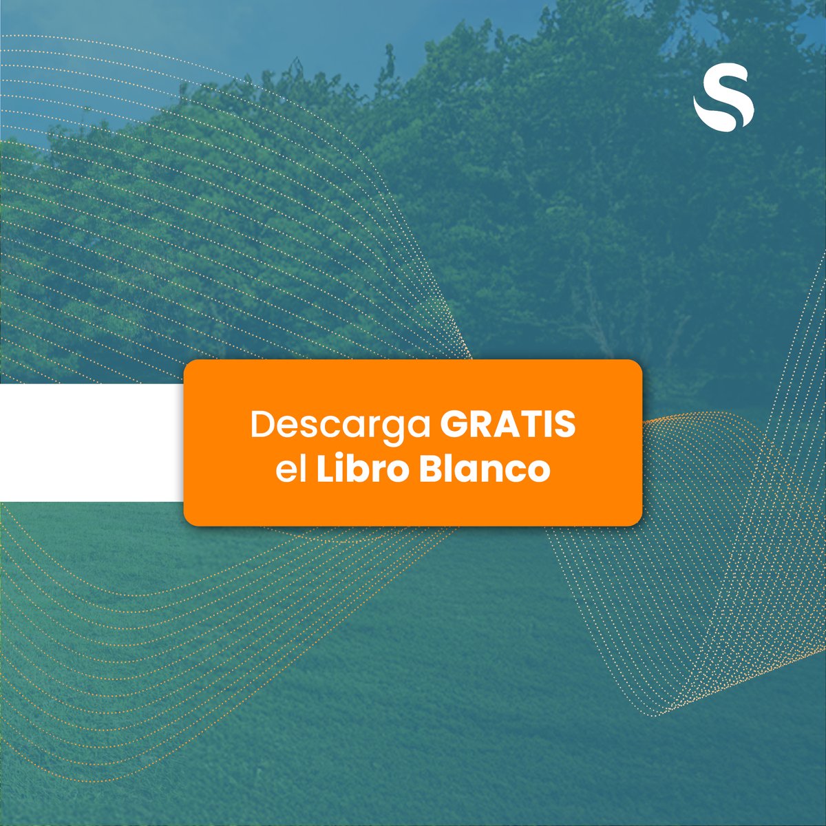 🔍 En un momento en el que la seguridad energética y alimentaria están en juego, el sistema agroalimentario europeo necesita soluciones ambiciosas.
📘 Por eso hemos creado este Libro Blanco sobre agri-foodtech,
🔗 Descárgalo gratis aquí: swanlaab.com/reports