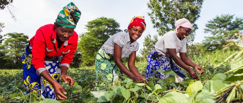 Imagine the power of people uniting to solve critical issues in food, health, and education in their communities. That's why we are building 'Kundi', a platform that provides unconditional cash to support grassroots solutions. See our work here: ootufund.org/kundi.html