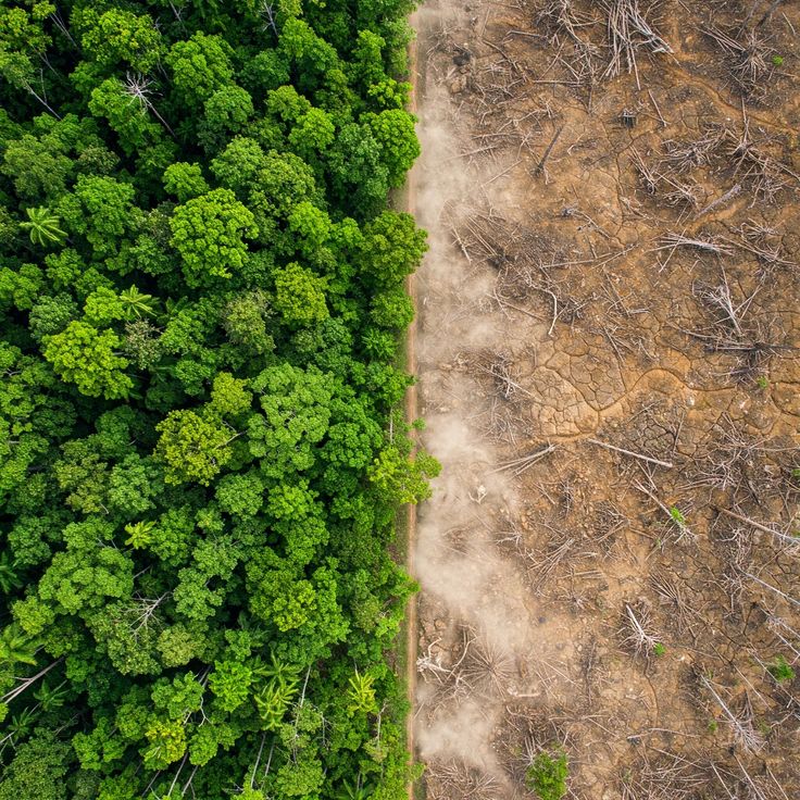 HewanGirmayA's tweet photo. Africa is not waiting
From September 8-10 in Addis Ababa, we shape Climate action our way- bold, United, and unstoppable.
We call for Shared responsibility and Climate justice for all.
#AfricaClimateSummit
#AddisAbaba2025 #TogetherForClimate https://t.co/Lg08Rwg0b2