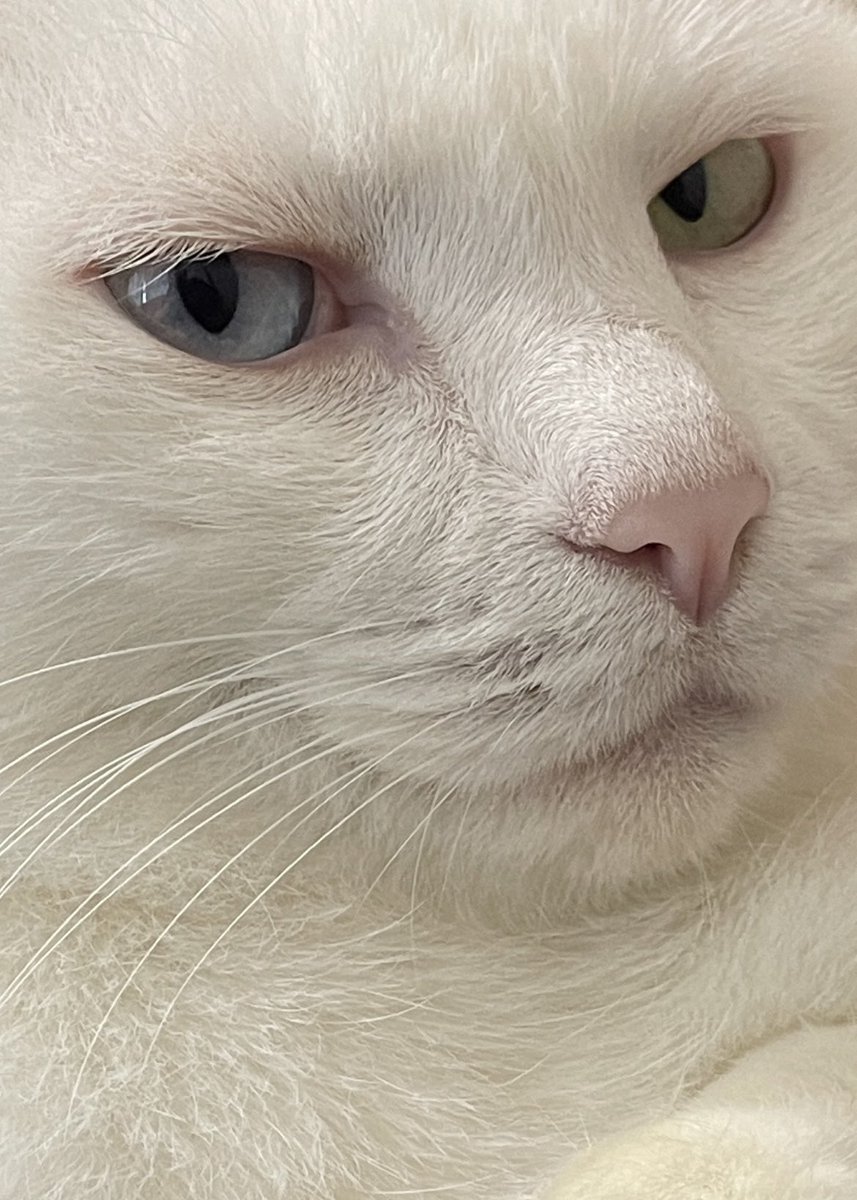 良い目つきしてるね〜