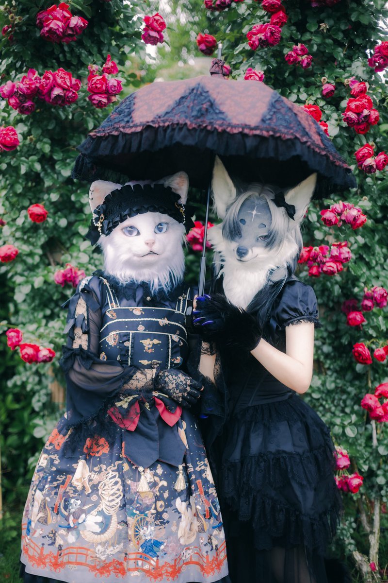 ご機嫌よう🌹✨

📷：<a href="/Toxic_Photon/">Toxic Photon</a>