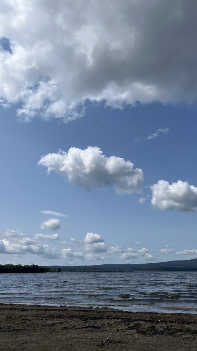 Morning Walk 2. At the lake with the children