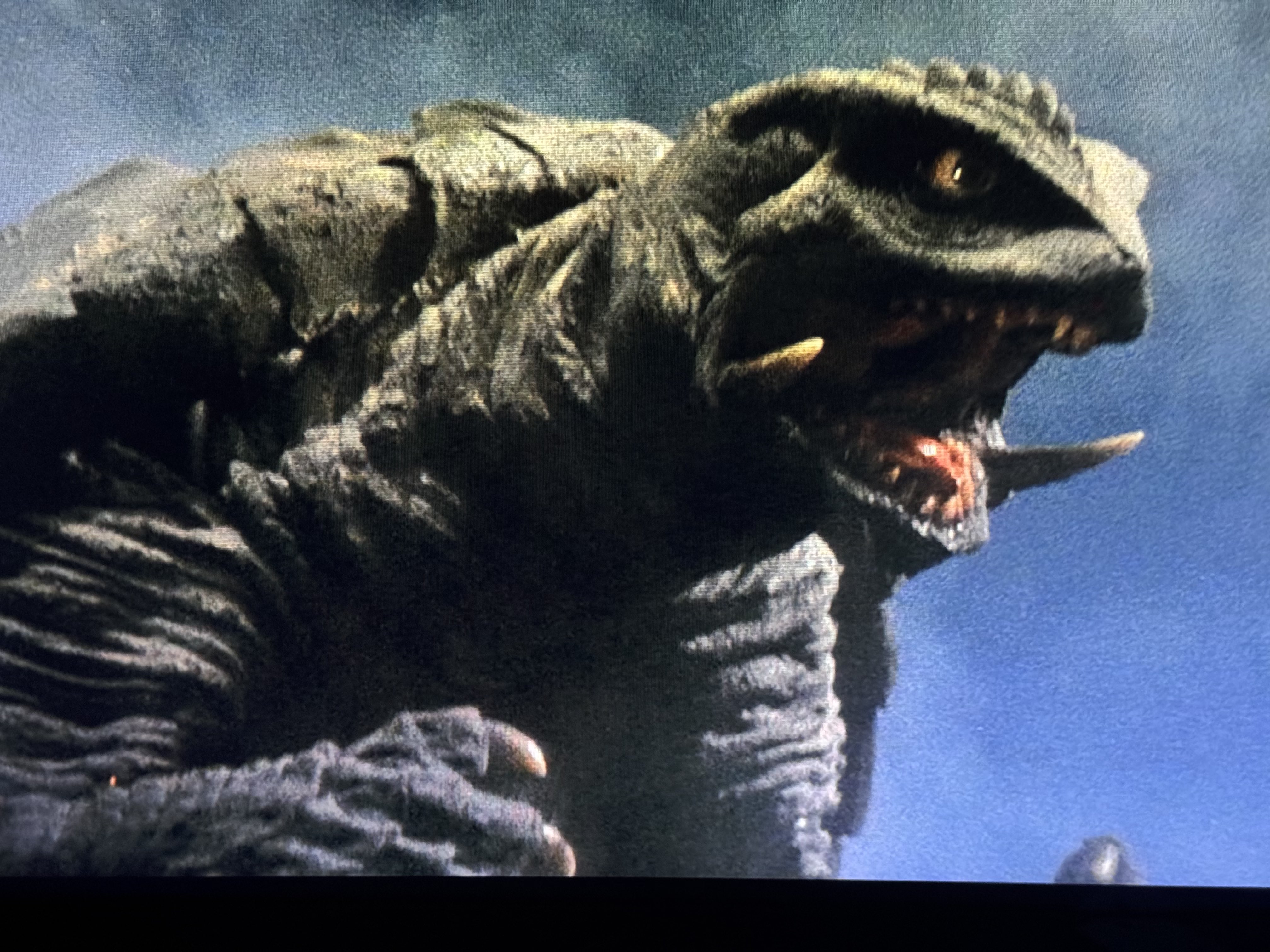 ガメラ - البحث / X