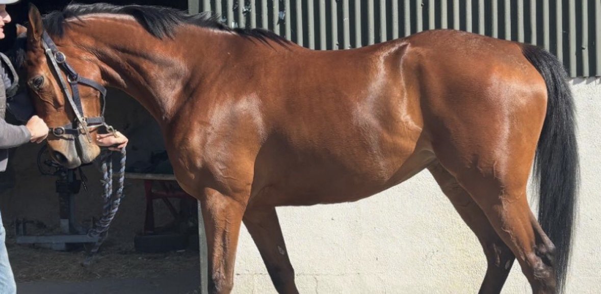 Closutton Racing Club tweet media