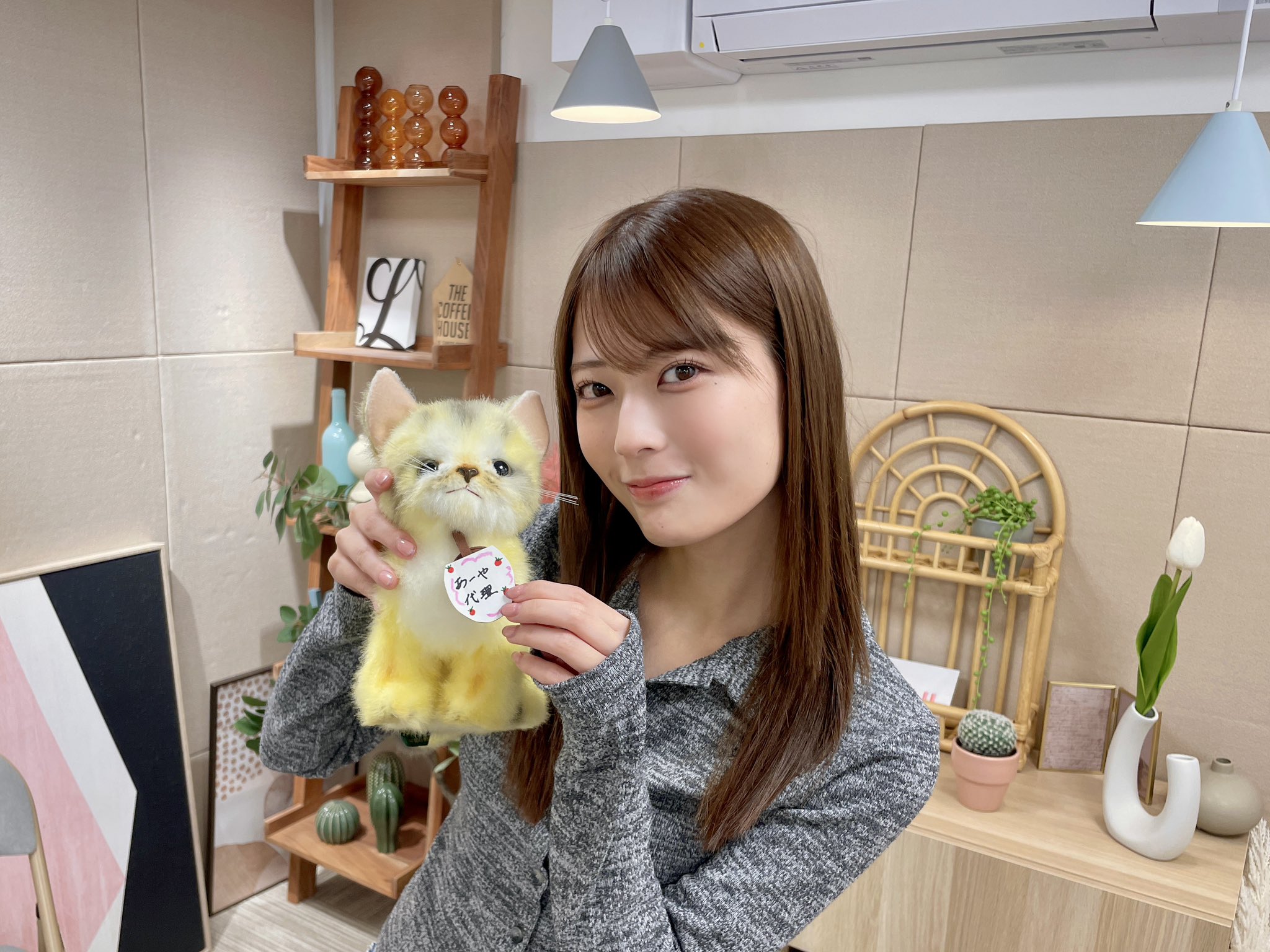 乃木坂46 on X: 