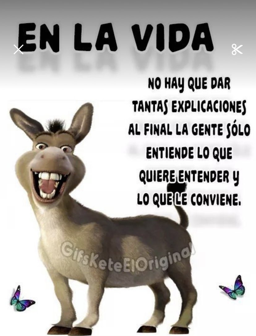 🍁🌈🍁EN. LA. VIDA…………….
🍁NO. HAY. QUE……………………
🍁AL. FINAL  LA…………………….
🍁LO. QUE. LE………………..🍁🍁