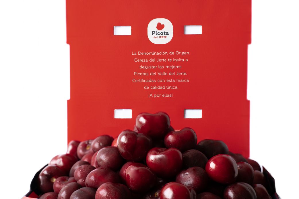 D.O.P Cereza del Jerte cierra 2025 con 1.300.000 kilos de producto
La Denominación de Origen ha certificado aproximadamente 300.000 kilos de cereza y 1 millón de picota

Todos los datos👇
f.mtr.cool/jnbepcgqcc