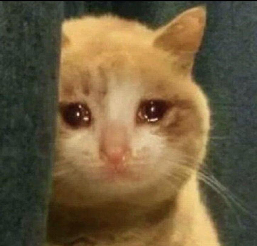 Your enemies watching you win everyday 🥰👊🏾