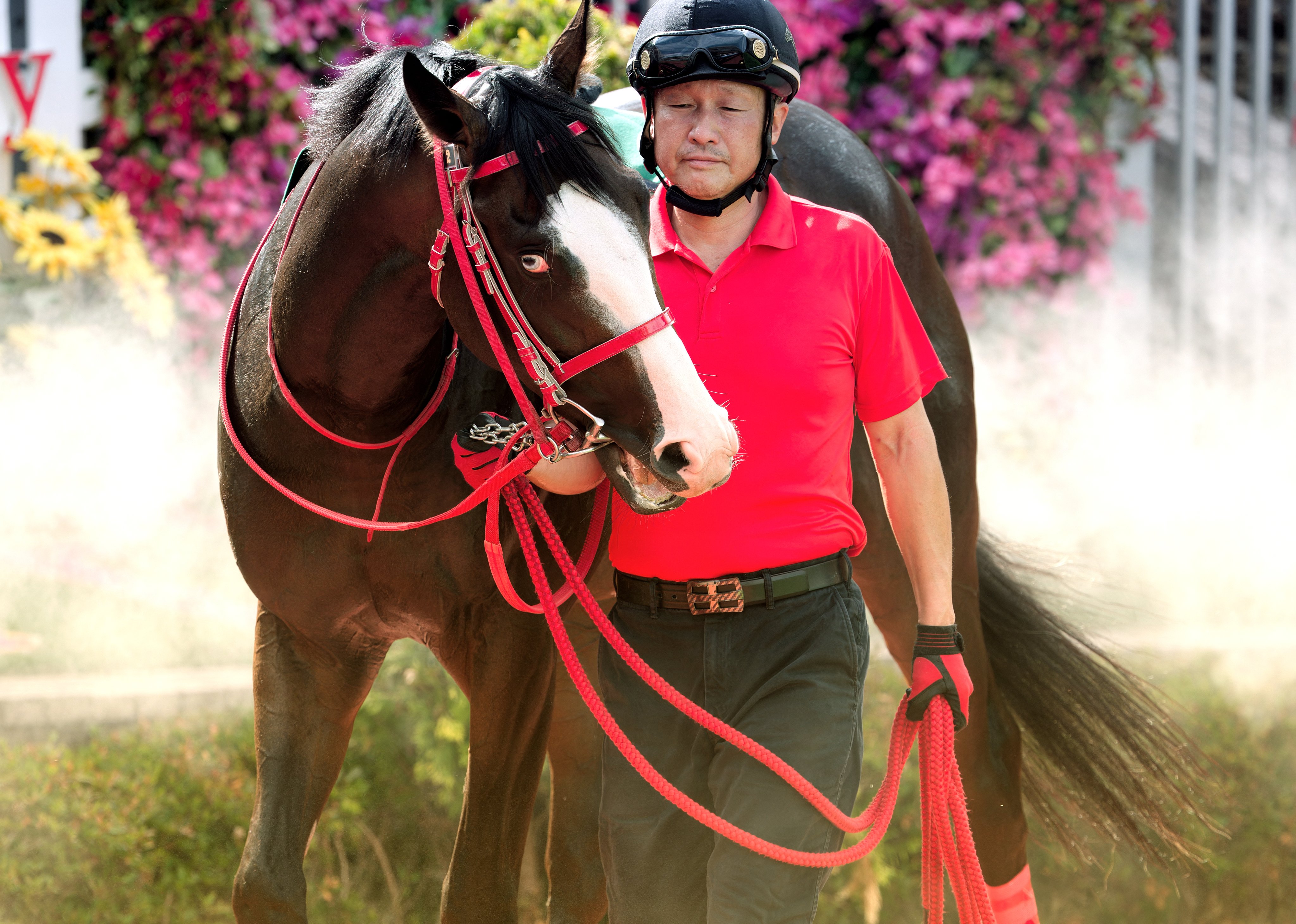 JRA G2 ゼッケン サープラスシンガー　重賞 半額ゲッター on X: 
