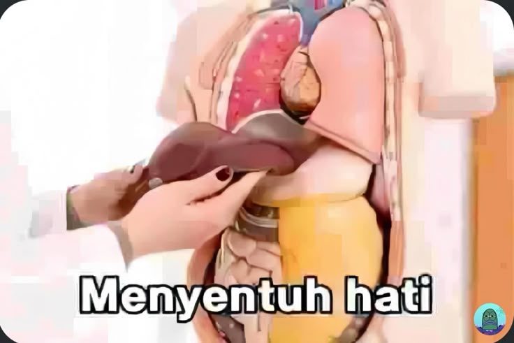 bcbylust's tweet image. Sangat menyentuh hati 🥰
