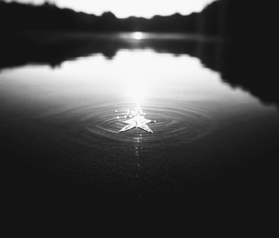 Meine dir 
zugewinkelte Seele
hört dich gewittern,

in deiner Halsgrube 
lernt mein Stern,
wie man wegsackt

und wahr wird..

#PaulCelan 
#poetry 
#Schönes