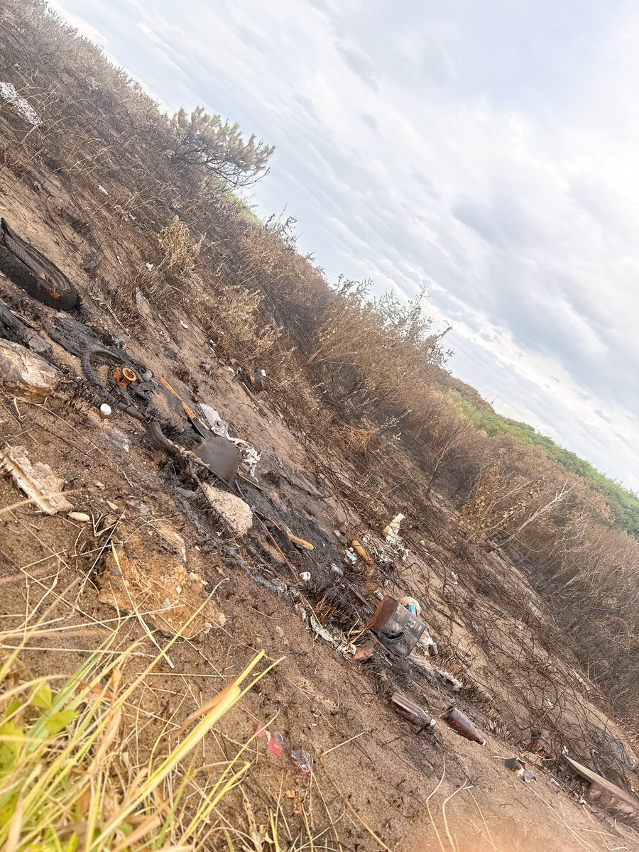 いつもシーバスやサゴシを釣っている海の防風林が5万平方メートル(東京ドーム1個分)が焼けて消失しちゃった😭

出火原因はタバコの火の不始末である可能性が高いんだそう...

風向きから考えたら犯人は釣り人しか考えられないから腹が立つ😠