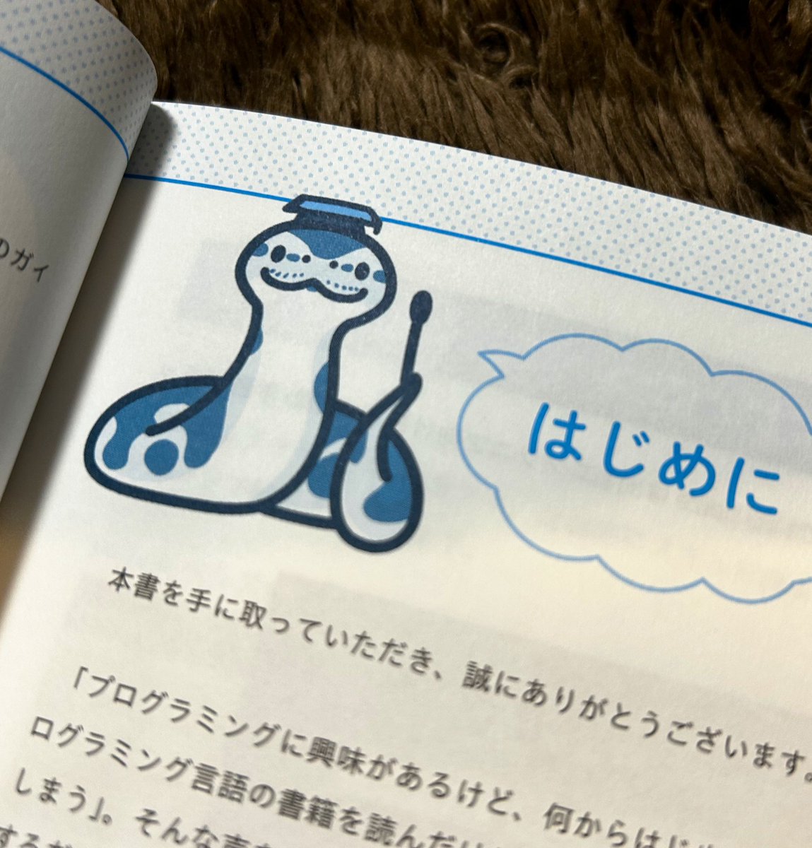 tukunosuke's tweet image. 【おしらせ】
『Pythonレベルアップドリル 初心者から一歩進むための厳選問題集』
こちらのミニキャラやアイコンのイラストを描きました!
爬虫類の仕事がしたいと騒いでいたらpythonのお仕事を頂きました!
ボールパイソンと一緒にpythonを勉強しよう!
amazon.co.jp/dp/4798188735