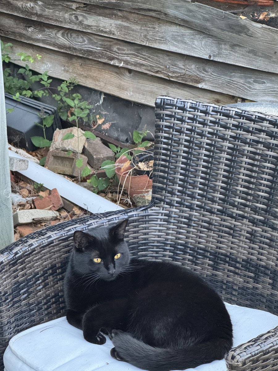 Stephen Graves tweet media