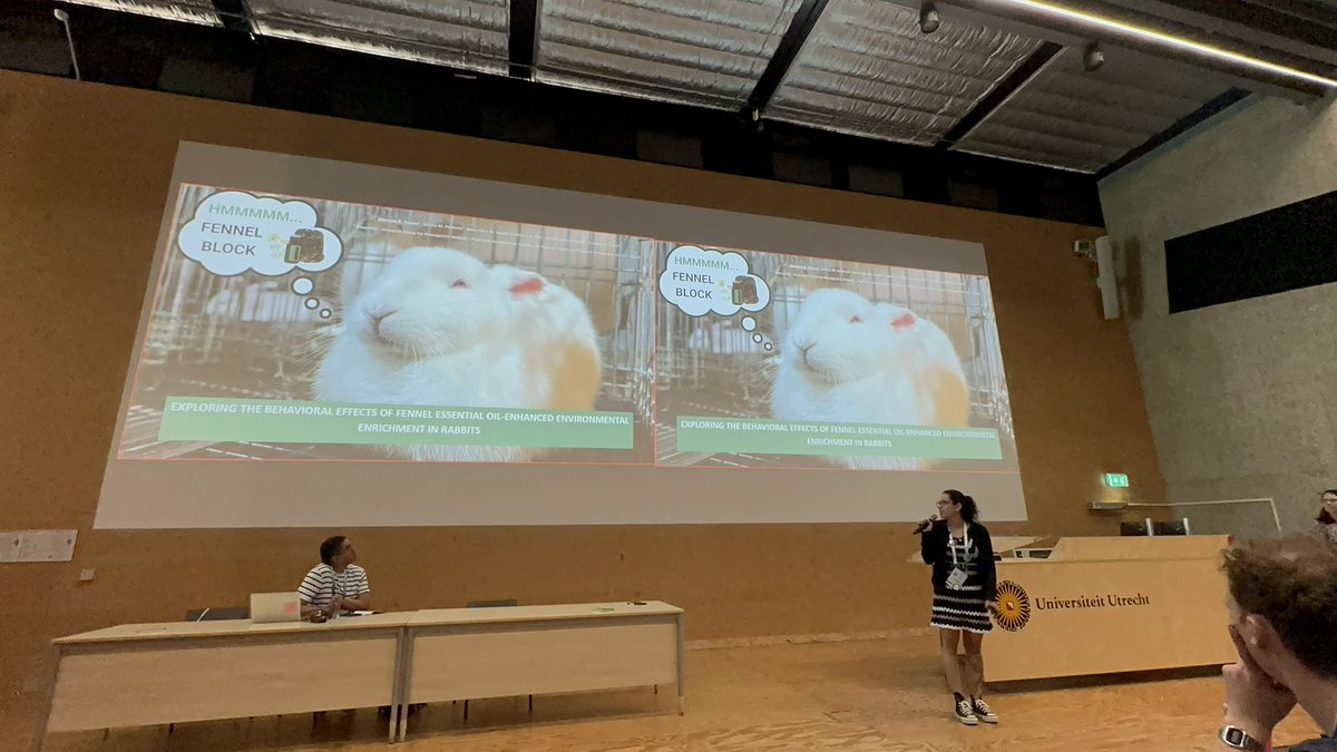 IsabelaBez_'s tweet image. Proud to see my first advisee presenting one of our projects in her 1st International Congress outside of Brazil! 👏🏻💚

These are the moments that make the hard work really worth it! #ISAE2025 #RabbitBehaviour 🐰
