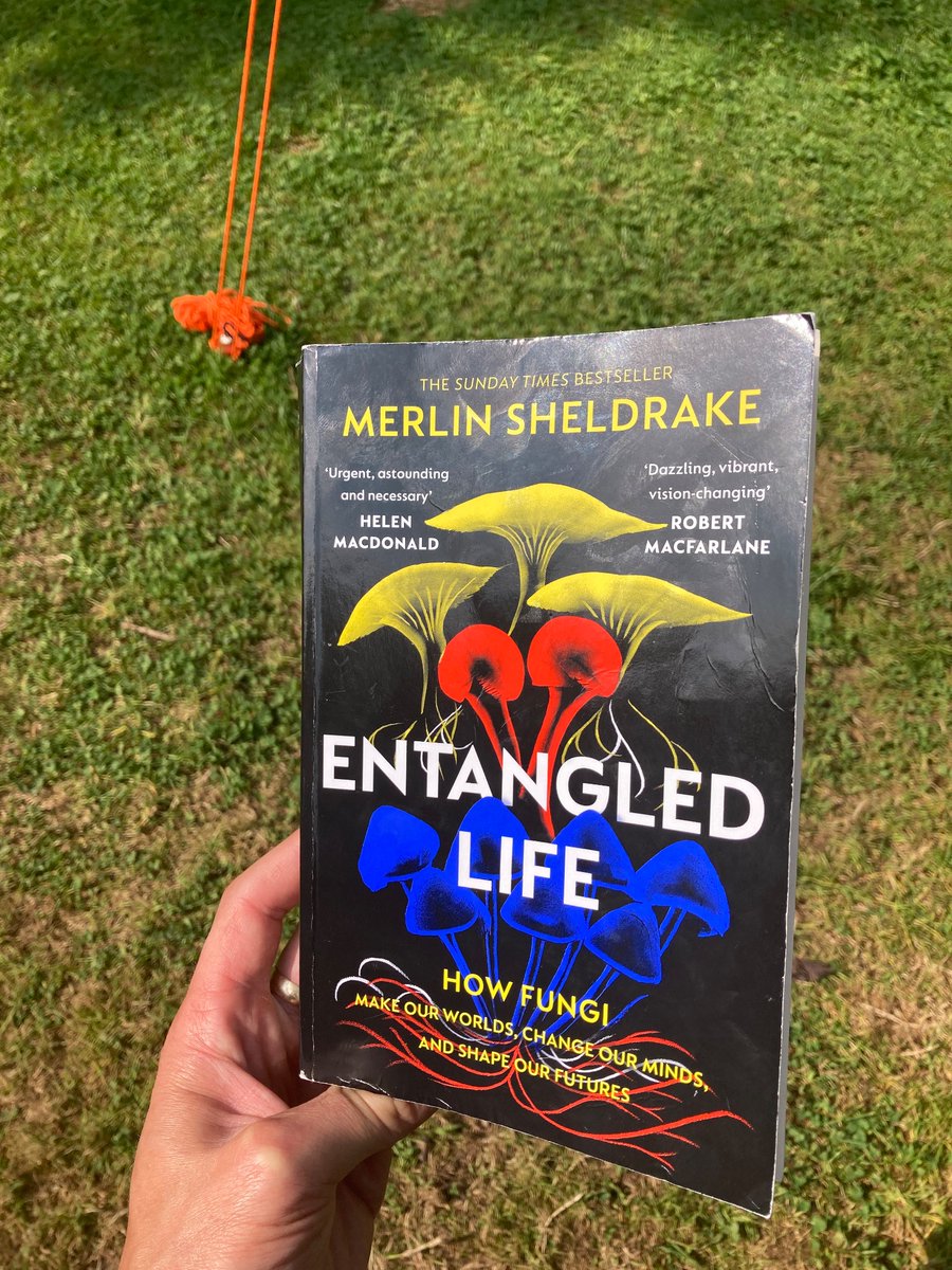 There wasn’t mushroom for books with the camping gear so I’m glad to be enjoying this carefully chosen copy of Entangled Life by <a href="/MerlinSheldrake/">Merlin Sheldrake</a> - highly recommend.