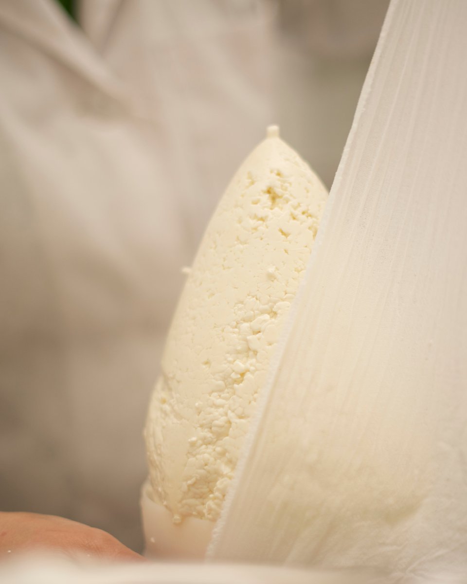 No hay trucos, ni atajos. Solo nosotros haciendo lo de siempre 🫡

🌿 Lo que la naturaleza nos da, nosotros lo transformamos en sabor 😋

San Simón da Costa, el queso que nace de lo natural 🧡

#SanSimónDaCosta #DOP #Naturaleza #Natural #Queso