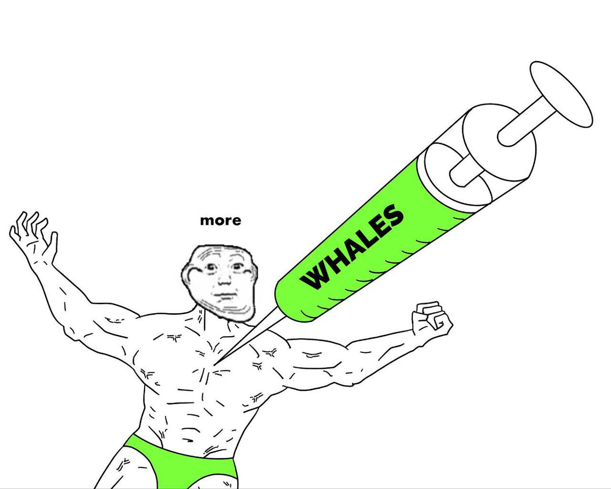 LEO_LEO369's tweet photo. @BTC2Ai #TROLLJAK new #Wojak  👀👀

$TROLL +  $WOJAK = #TROLLJAK 

9mnootksqyqzAXytornbHz1neBKq97spQVCN5oW6bonk

Trolljak 已准备好发射到月球
合同安全
适合投资

财富近在咫尺

@BTC2Ai 🫡

$solana
$pepe https://t.co/UFePsGxLIk