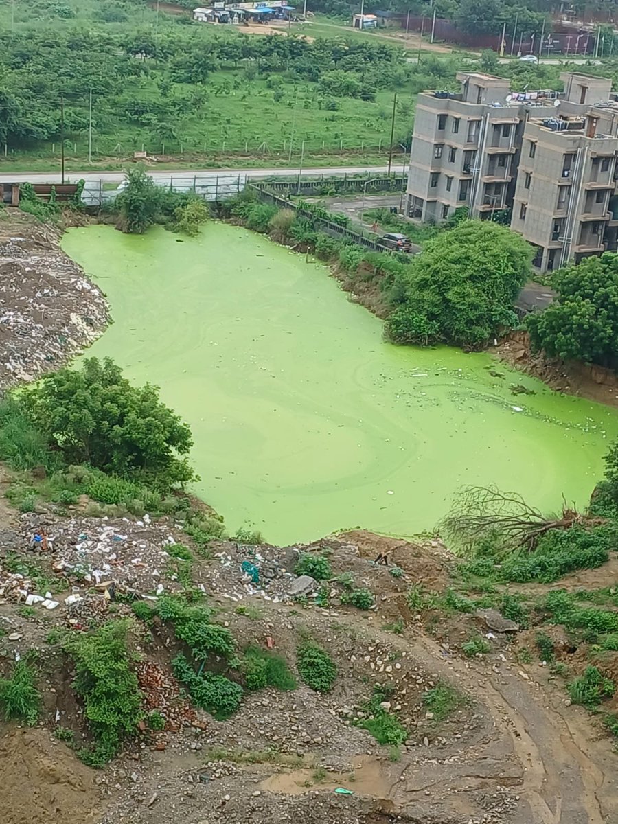 This beautiful lake is located near Arihant Abode Society, Sector 10, Greater Noida West.