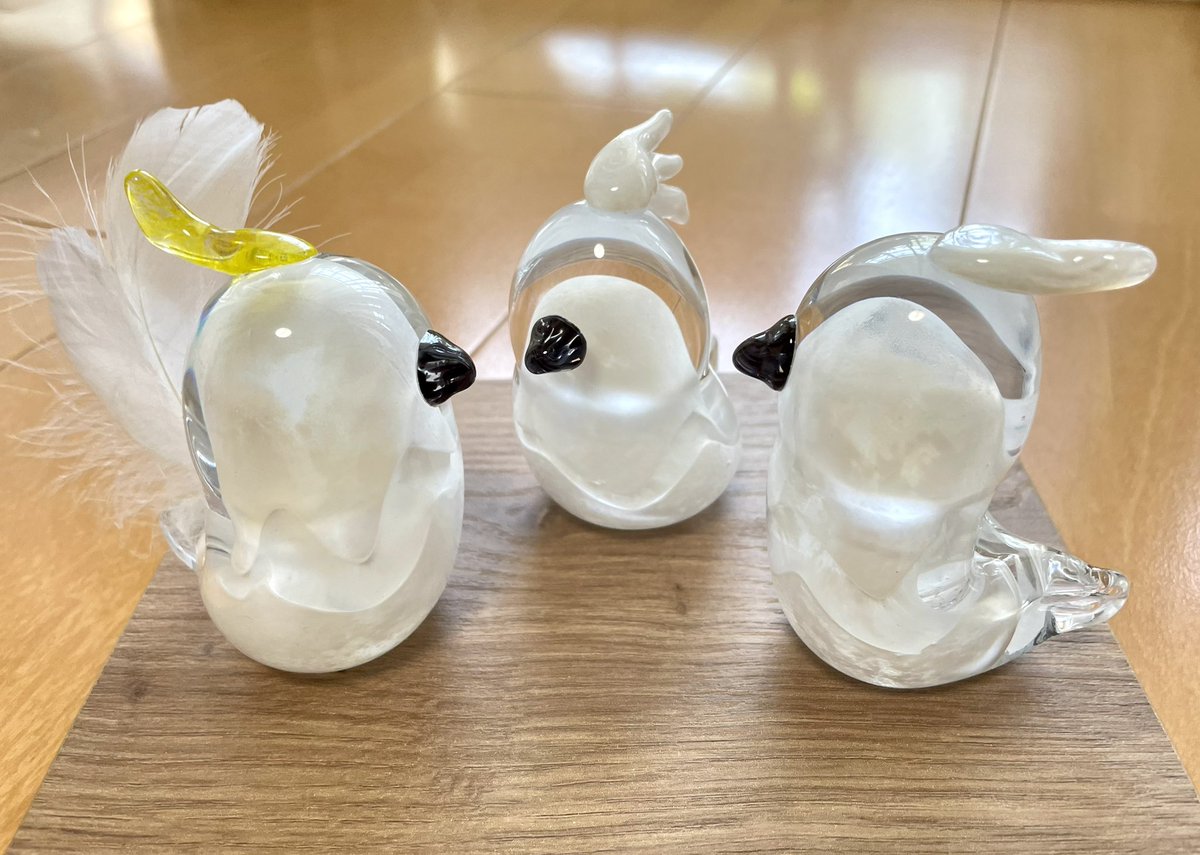 #新宿ことりまつり

とうとう明日まで😅 
是非店頭でご覧下さいね🍀