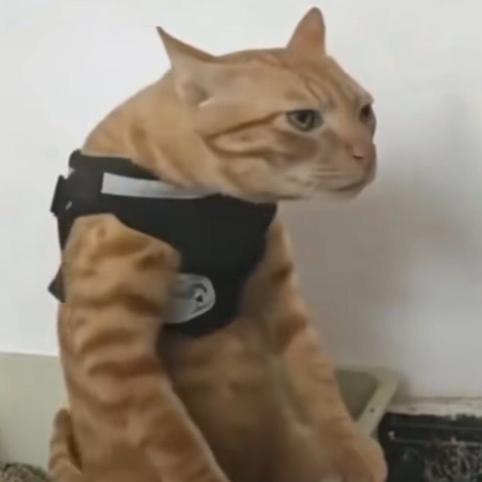 maybe the store is still under construction