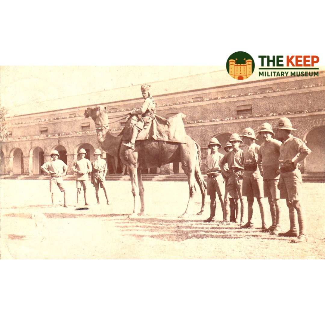 This image shows the 1st/4th Battalion of the Dorsetshire Regiment in Ambala, India, January 1916. The Dorsets are identifiable by the patches on the side of their helmets.

DORMM:1961/1430/1