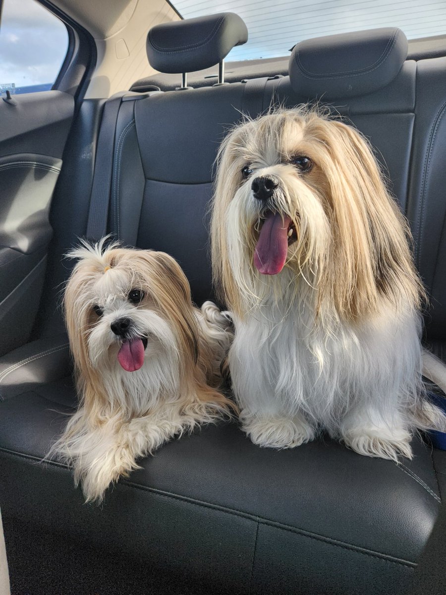 I love history. I'm fascinated by the past — and often gobsmacked by how fast things have changed. My life has changed considerably over the last 15 years ... I am nothing like I was back then. But that's history now. 

Maybe I'm fascinated with the distant past because I