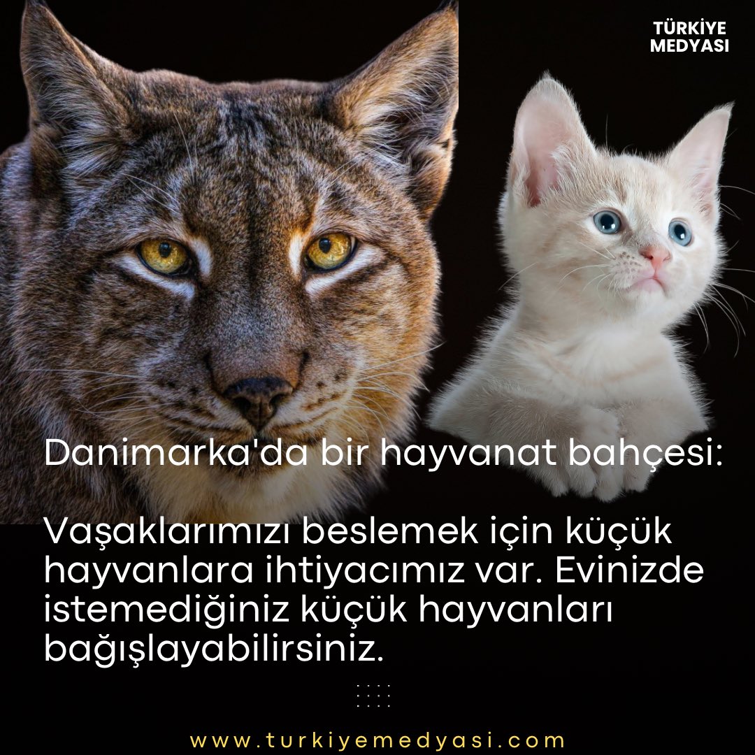 ▪️Danimarka'da bir hayvanat bahçesi:

Vaşaklarımızı beslemek için küçük hayvanlara ihtiyacımız var. Evinizde istemediğiniz küçük hayvanları bağışlayabilirsiniz.