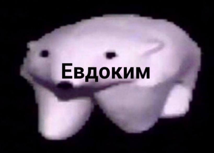 Наша собака Евдоким