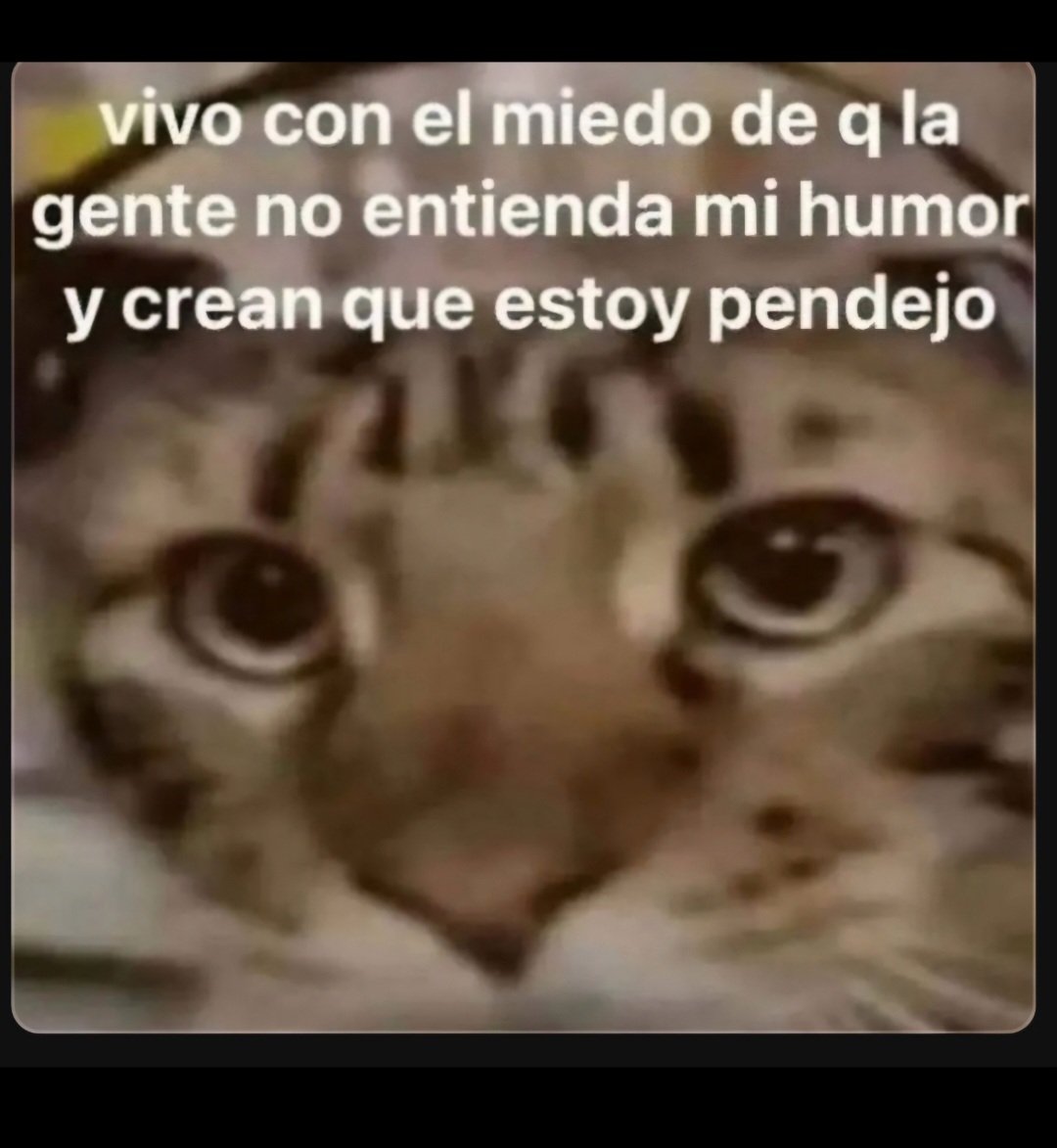 Feliz miércoles 💚✨️