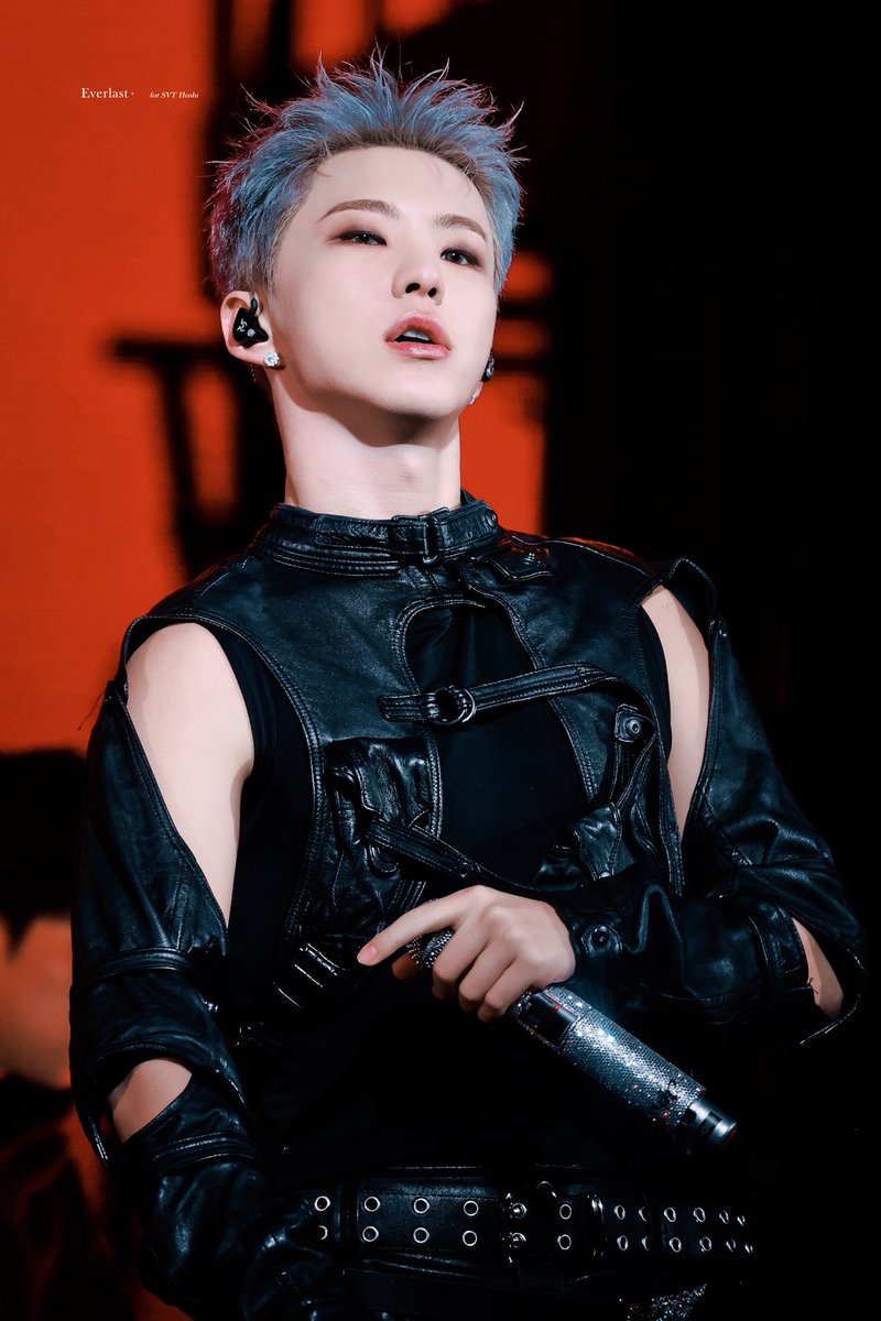 250806 HOSHI X WOOZI FAN CONCERT [WARNING] - JAPAN D1 🔫 #세븐틴