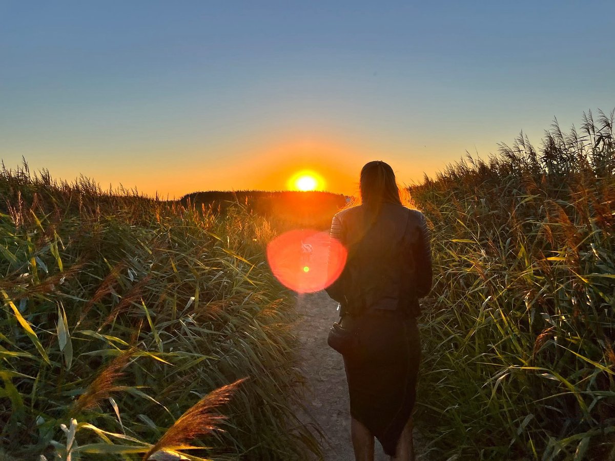 WESTHOEK | Iedere avond een verrassing hoe mooi de zon hier onder gaat.
#thefriezinn #waddenherberg #friesland #hetbildt #bildtsaigene #fryslân #uytland #oudezee #waddenzee #waddensea #noordzee #northsea #sea @unesco_nl <a href="/Uytland/">Uytland - Friesland</a>
