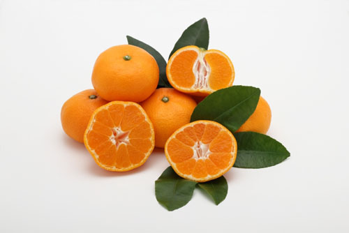 💚柑橘類がシミの原因になるってホント？💚

真夏は紫外線も強烈。紫外線で傷ついた肌を修復するために、ビタミンCがたくさん入った柑橘類を朝食に食べている人も多いかも。でも、それって逆にシミの原因を作っている可能性があるんです😱
#美肌  #紫外線  #光毒性
alluxeweb.com/post/7682/