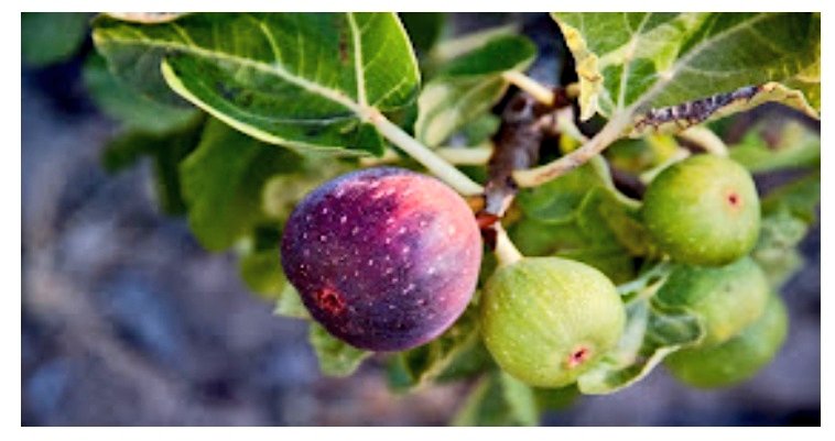 Un pensamiento veraniego sobre la sobrevaloración de las vacaciones, según se mire. oncereyes.blogspot.com/2025/08/la-sob…